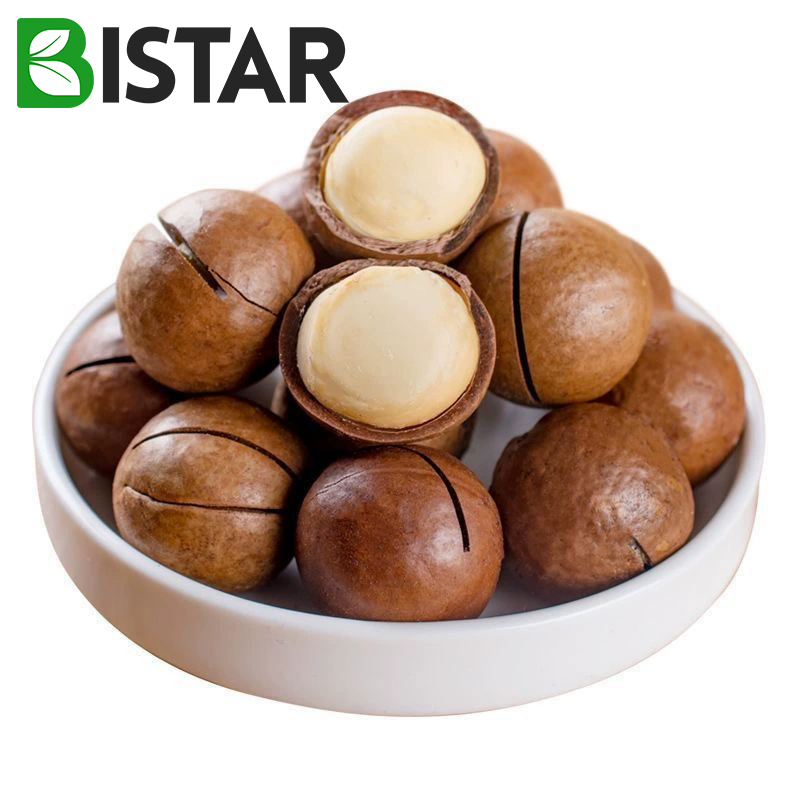 Nozes de macadâmia secas com sabor de baunilha cremosa de alta qualidade, fruta seca doce