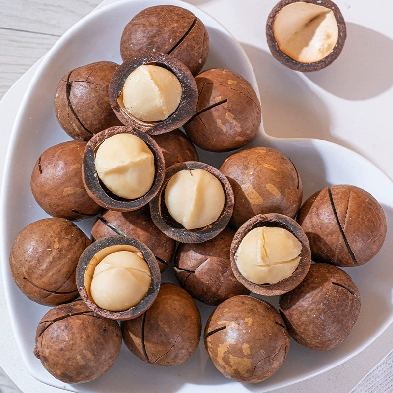 Melhor Preço Lanches Saudáveis Alimentos Nozes com Casca Nozes de Macadâmia