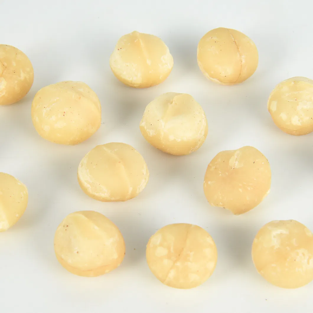 Melhores Sabores Lanches Saudáveis Nozes com Casca Noz de Macadâmia