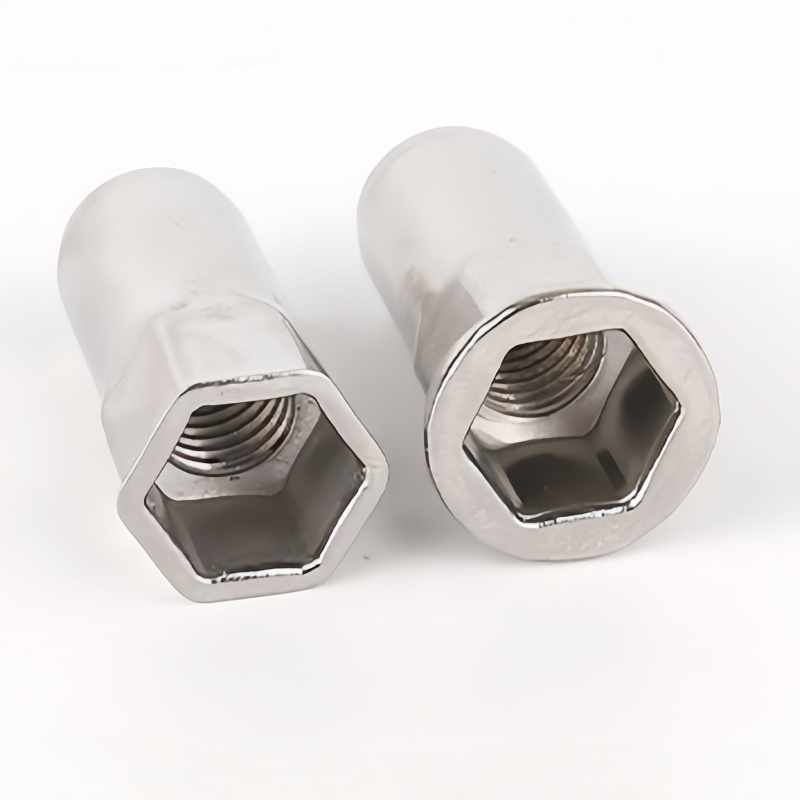 Porca cega de rebite hexagonal externo meia com cabeça chata em aço inoxidável - A2/A4 Grau