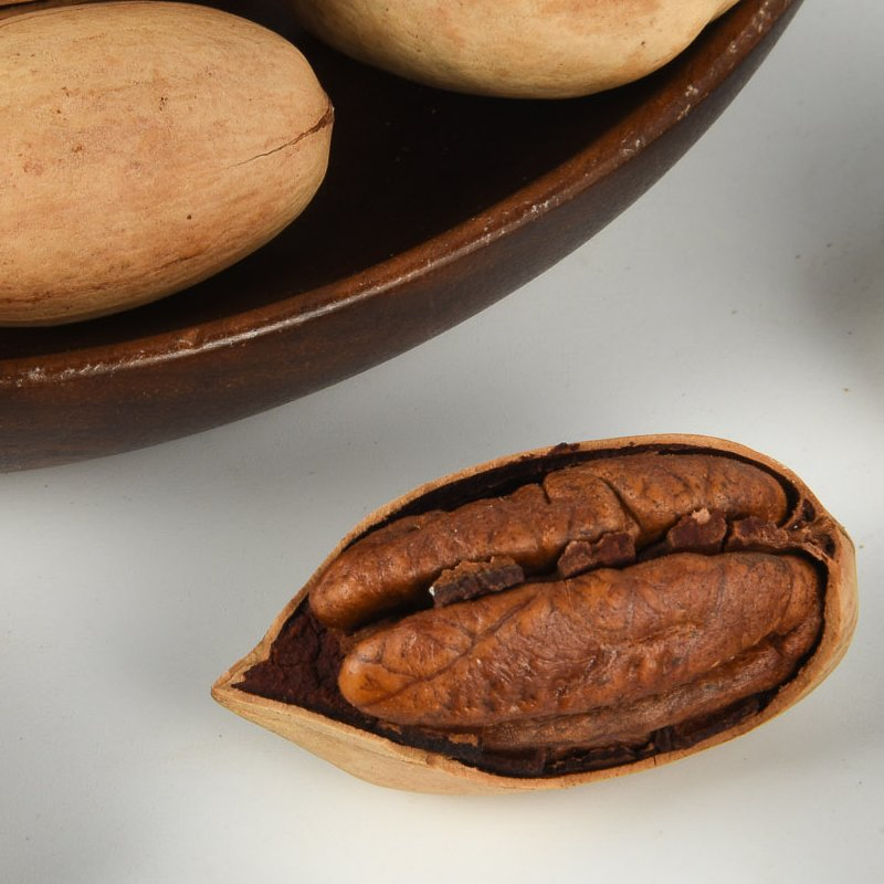 Atacado de Snacks de Noz de Pecã com Casca Fina e Saudáveis