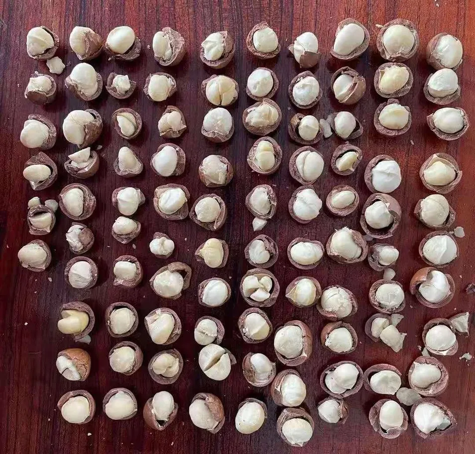 Detalhe Macadâmia 2