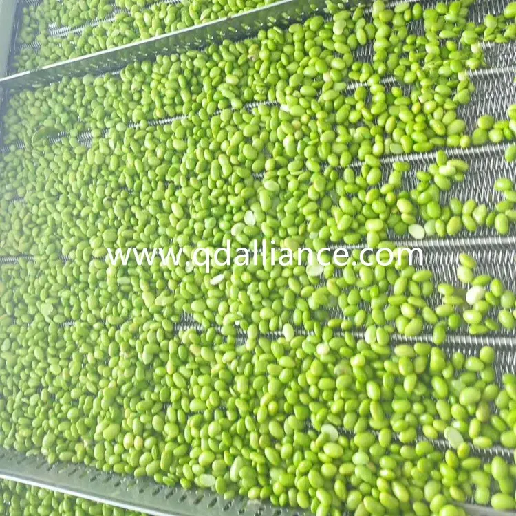 Grãos de Soja Edamame Orgânicos