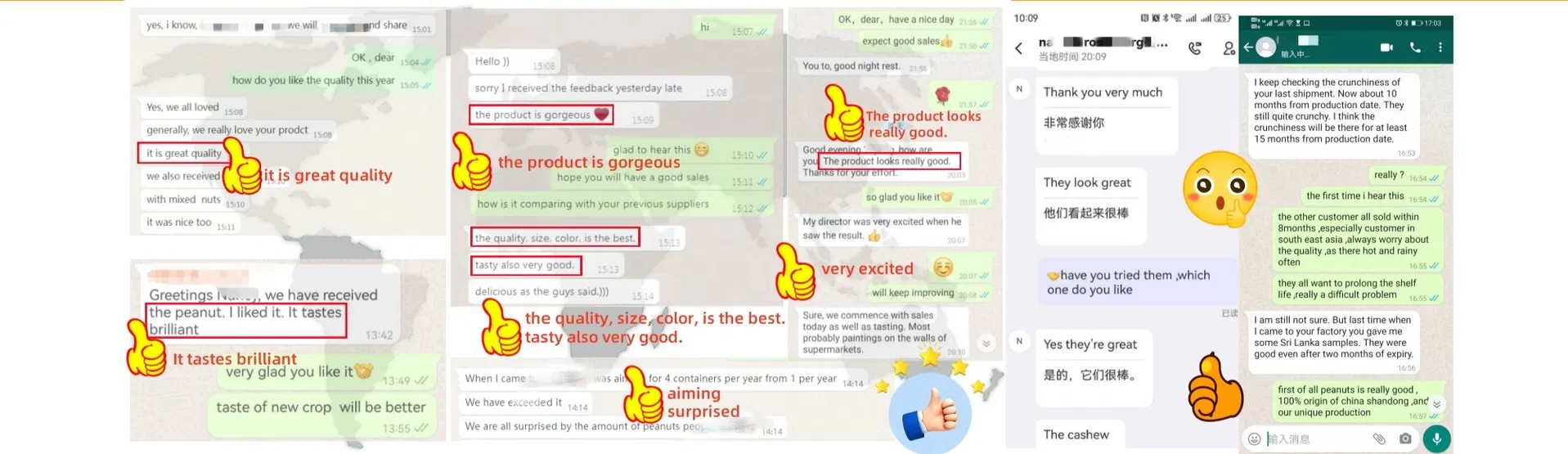 Client Feedback