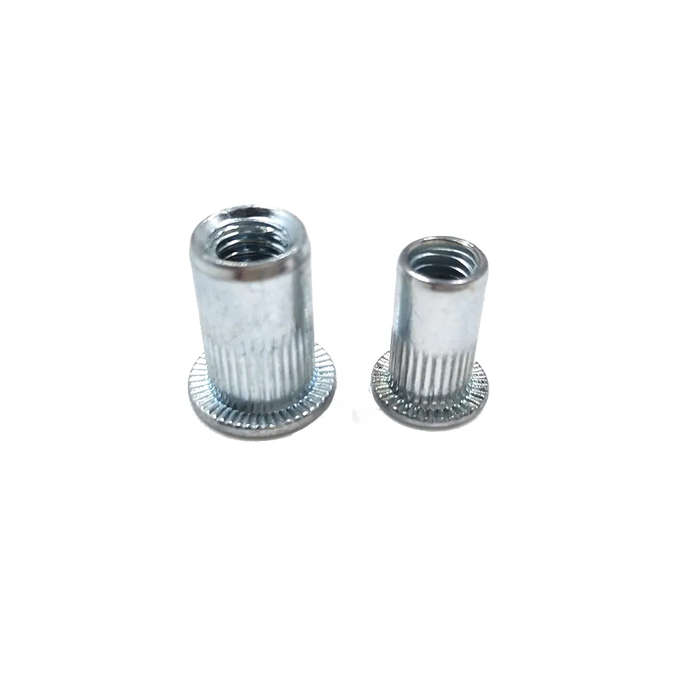Melhores Vendas para Indústria Porcas Rivet Tipo Knurling Cabeça Plana de Macadâmia
