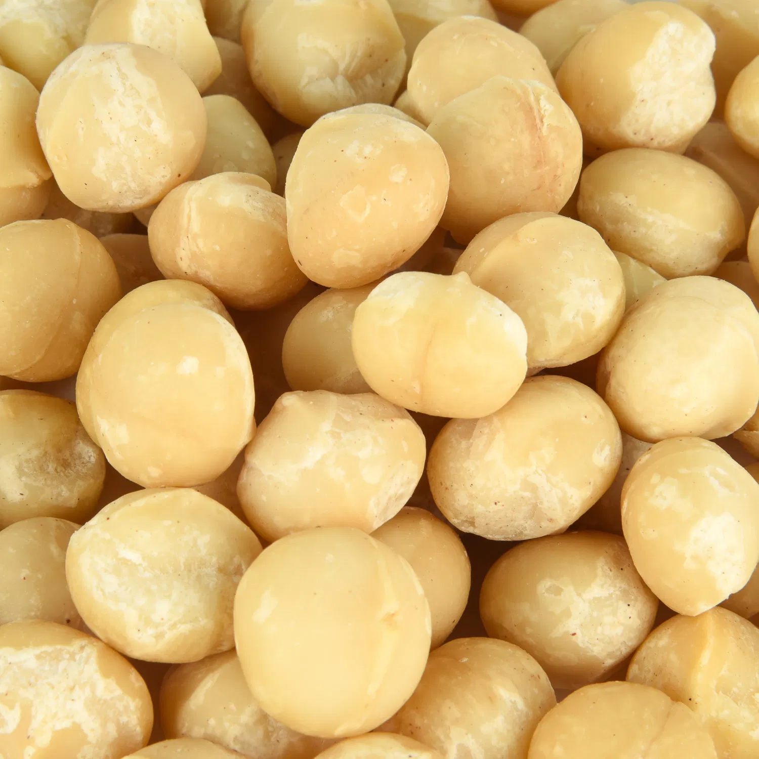 Sabor de baunilha, creme de noz de macadâmia cozido, qualidade de exportação da China, preço competitivo, nozes de macadâmia nutritivas, nozes e sementes cruas