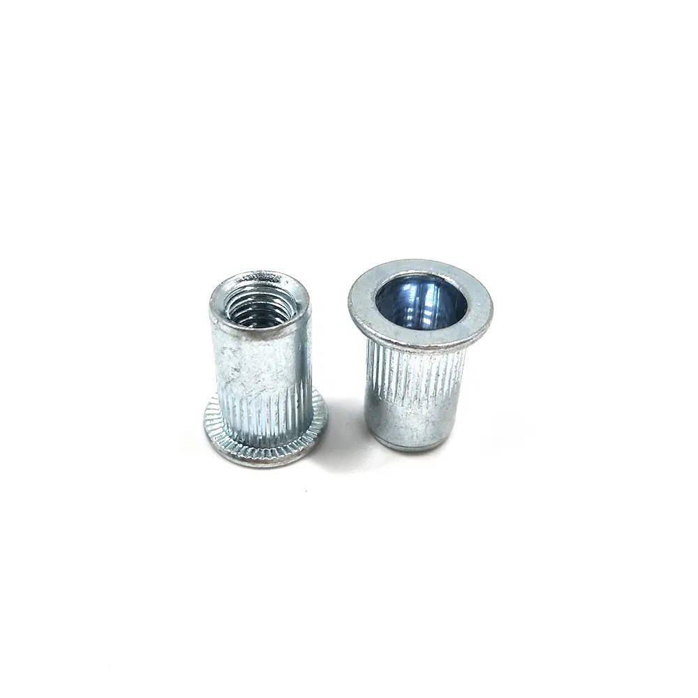 Melhores Vendas para Indústria Porcas Rivet Tipo Knurling Cabeça Plana de Macadâmia