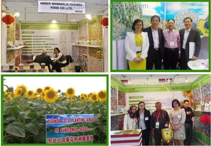 Equipe de Exposição
