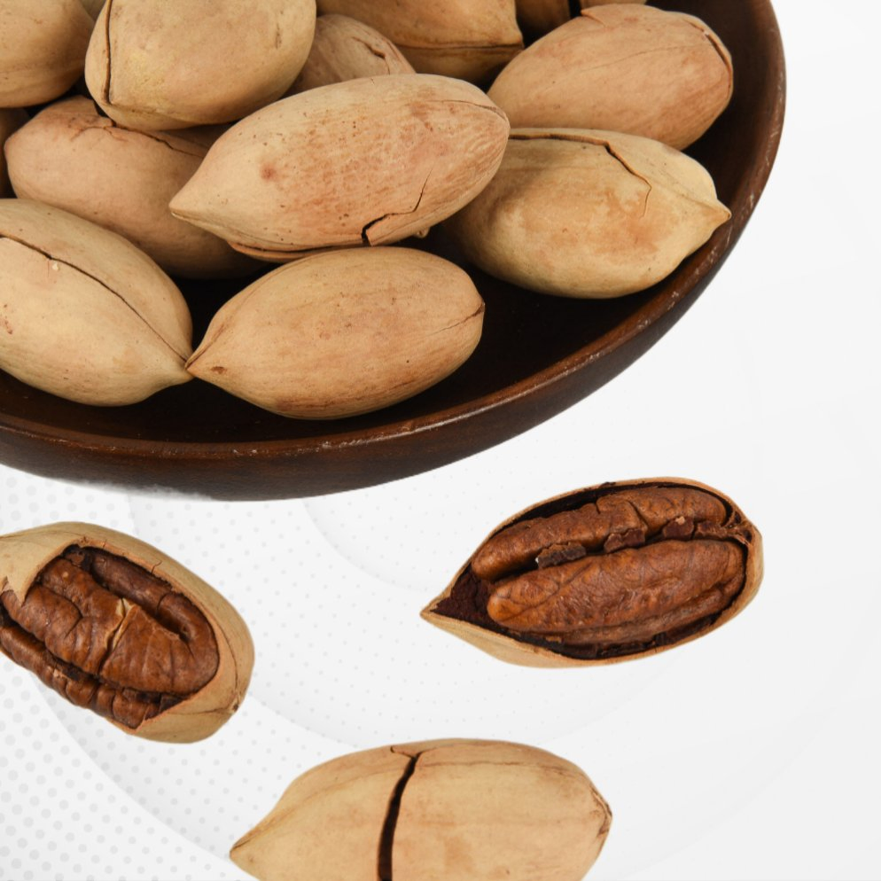 Vendas Quentes Nutritivas Pecan de Alta Qualidade