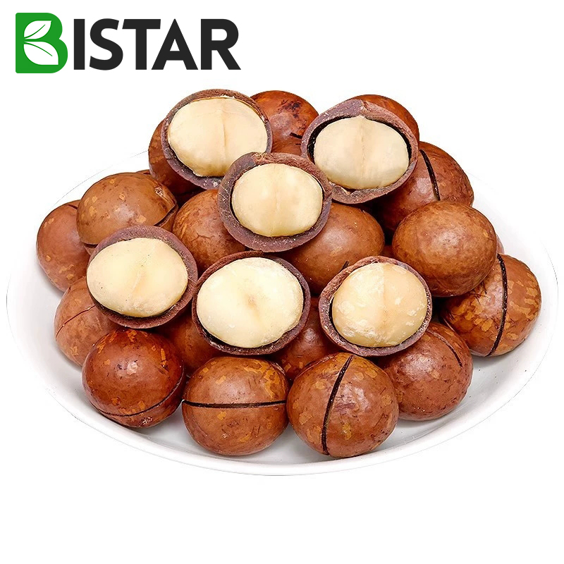 Melhor Preço Lanches Saudáveis Alimentos Nozes com Casca Nozes de Macadâmia