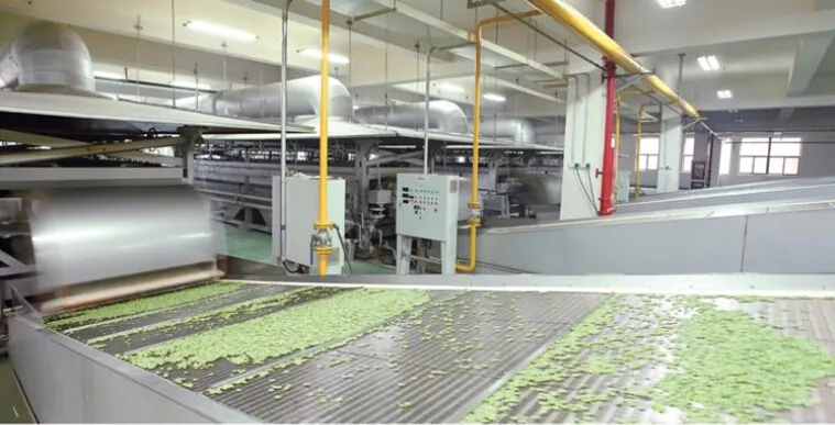 Seleção de Chips de Fava Fritas