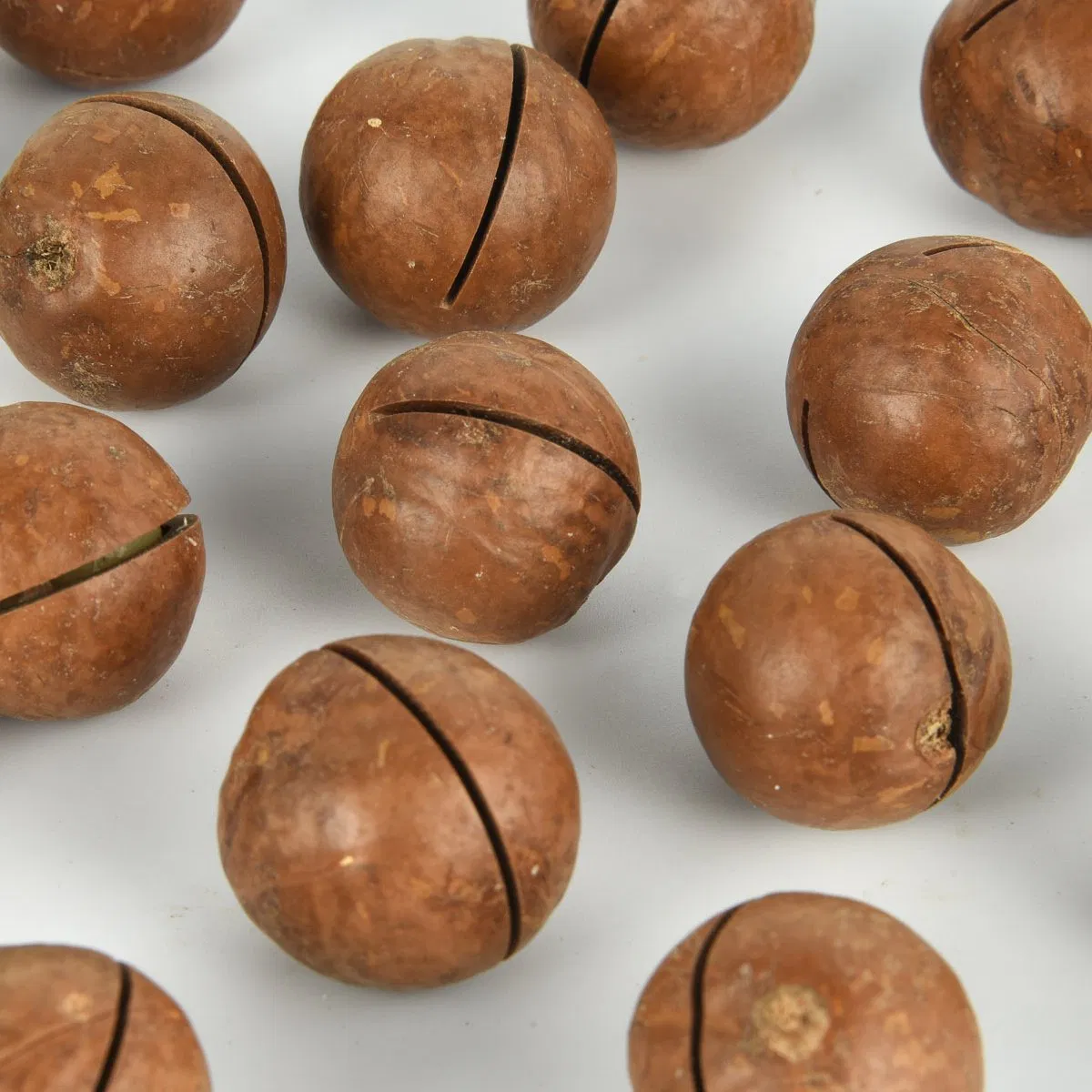 Melhores Sabores Snacks Saudáveis de Alta Qualidade Saborizados Compradores Globais com Noz de Macadâmia