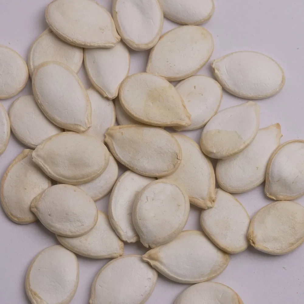 Sementes de Abóbora Brancas Inshell Nutritivas e Premium para Exportação da China