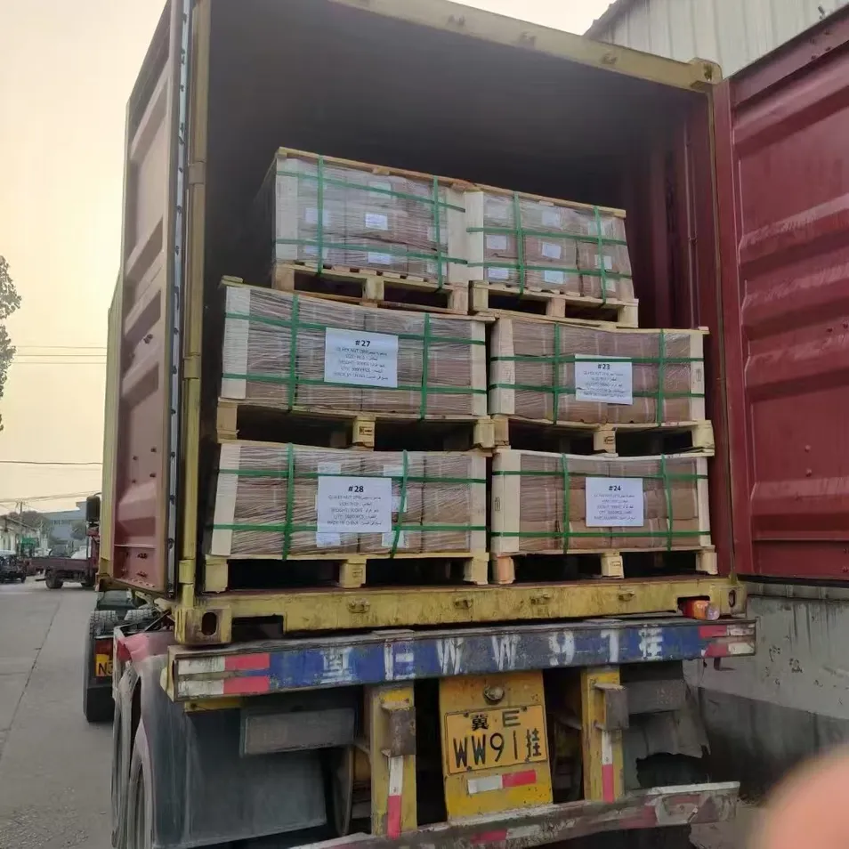 Porca de Aço Inoxidável 304 de Nylon Antifuga