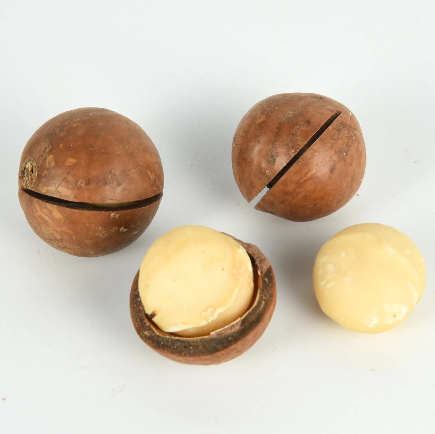 Melhores Sabores Lanches Saudáveis Nozes com Casca Noz de Macadâmia
