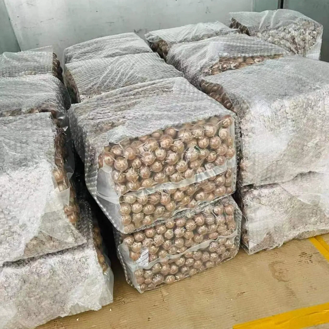 Nozes de Macadâmia Secas Noz de Macadâmia