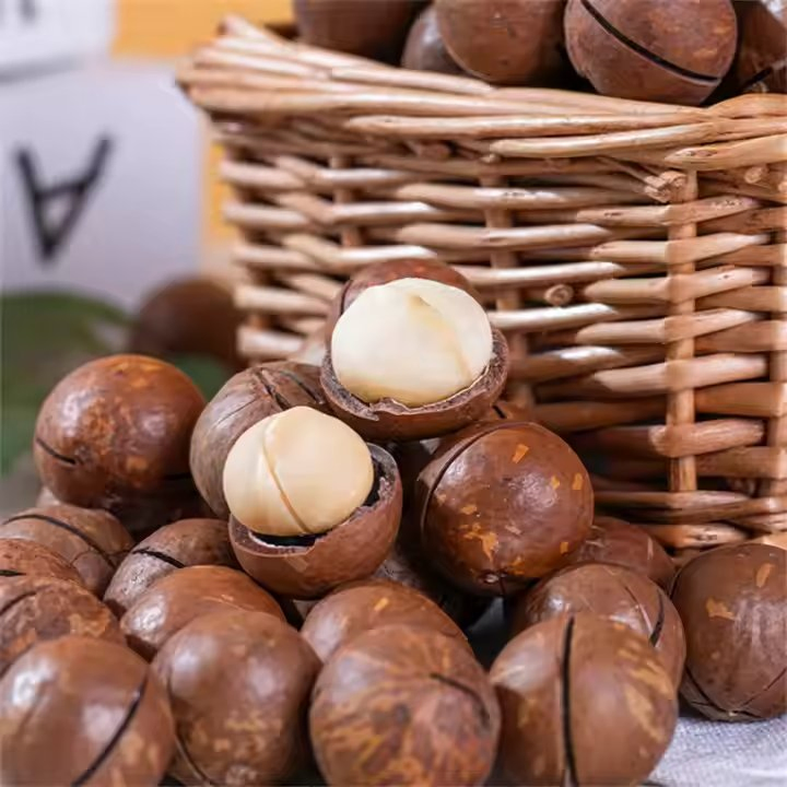 Melhor Preço em Nozes de Macadâmia com Casca Atacado Grau A
