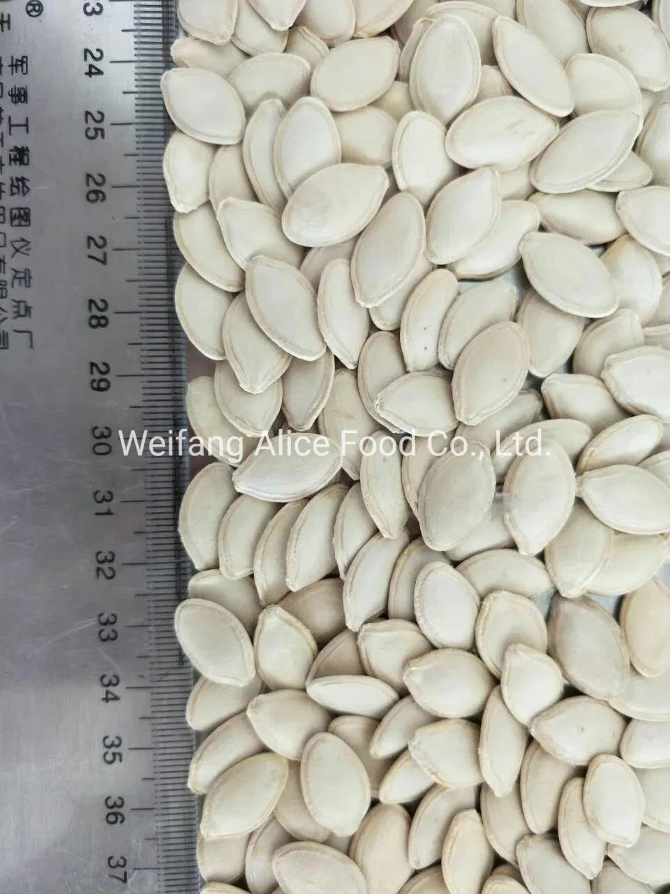 Preço Baixo O Lanche Mais Saudável Sementes de Abóbora Cruas e Orgânicas da China