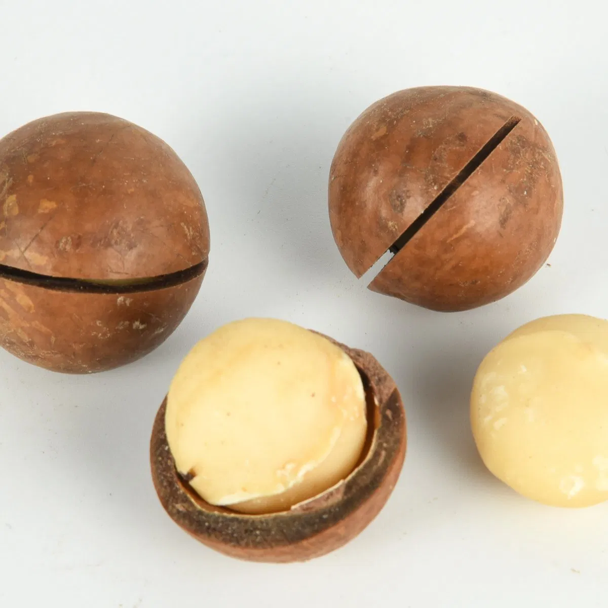 Melhores Sabores Snacks Saudáveis de Alta Qualidade Saborizados Compradores Globais com Noz de Macadâmia