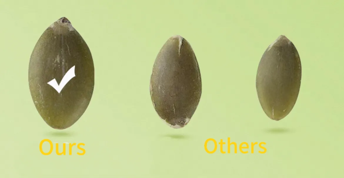Sementes de Abóbora Naturais