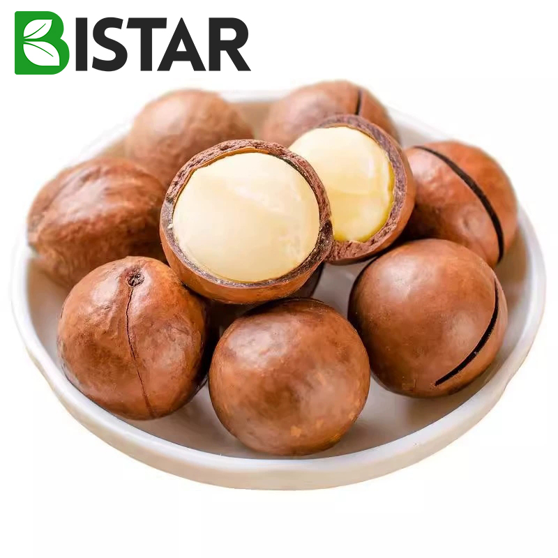 Nozes de macadâmia secas de alta qualidade, sabor doce e cremoso, lanche delicioso, fruta seca, fornecimento por atacado