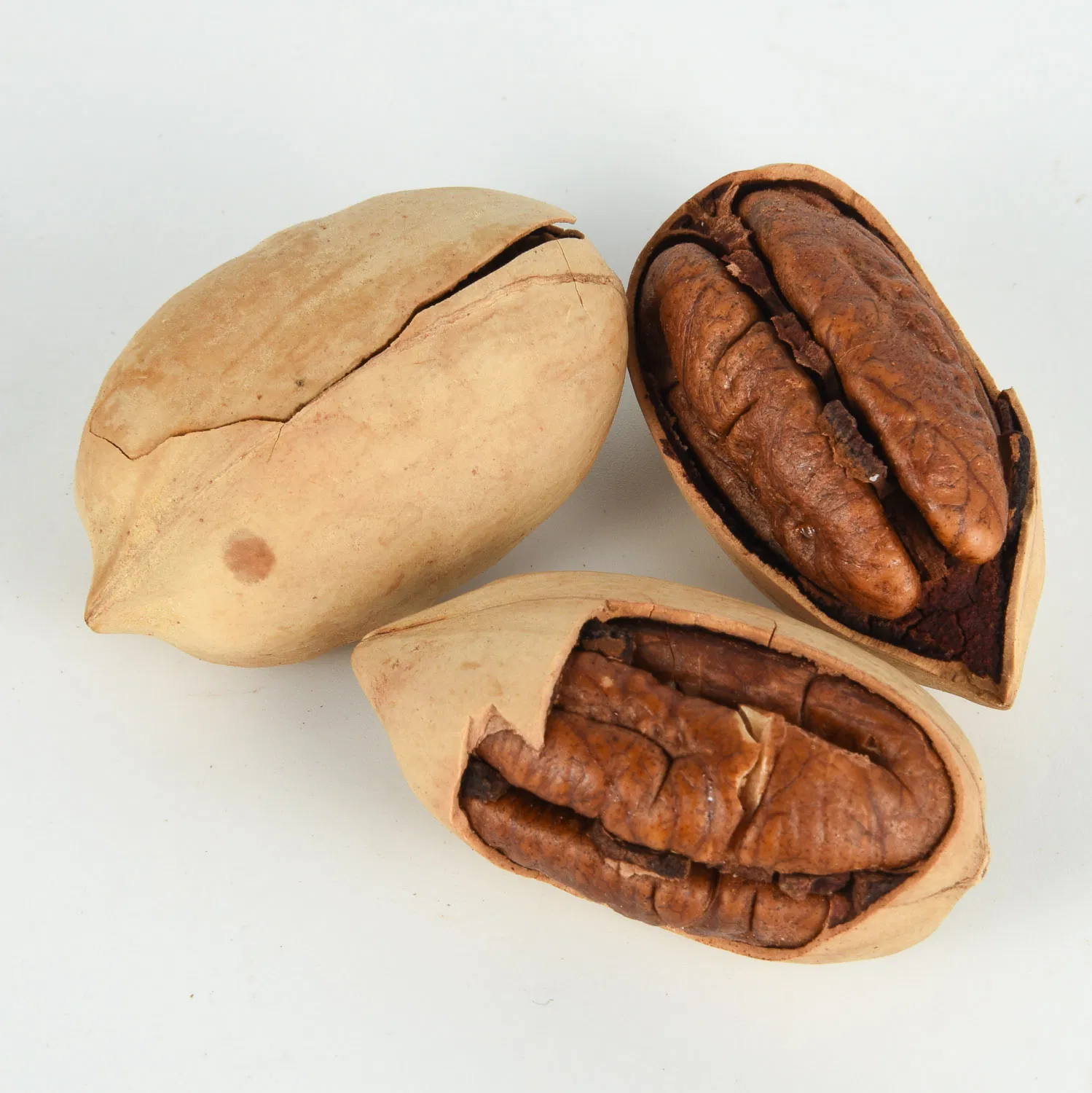 Atacado de Saúde Natural Snacks Secos Nutritivos de Noz Pecan