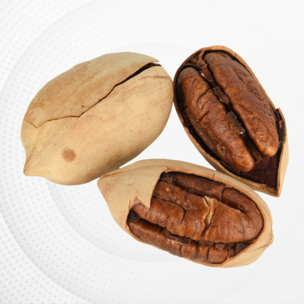 Vendas Quentes Nutritivas Pecan de Alta Qualidade