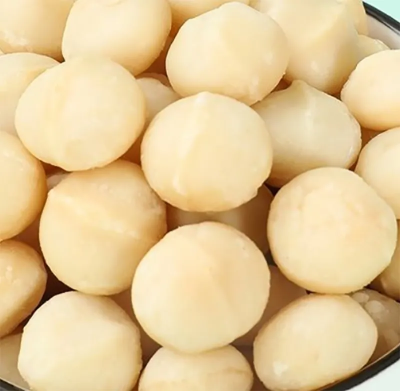 Macadâmia Produção 2