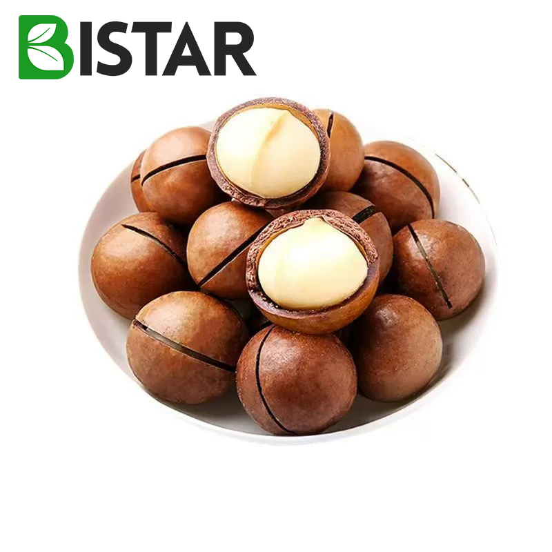 Nozes de Macadâmia em Cor Natural Alimento Seco Atacado Lanche Saudável Cru Processado