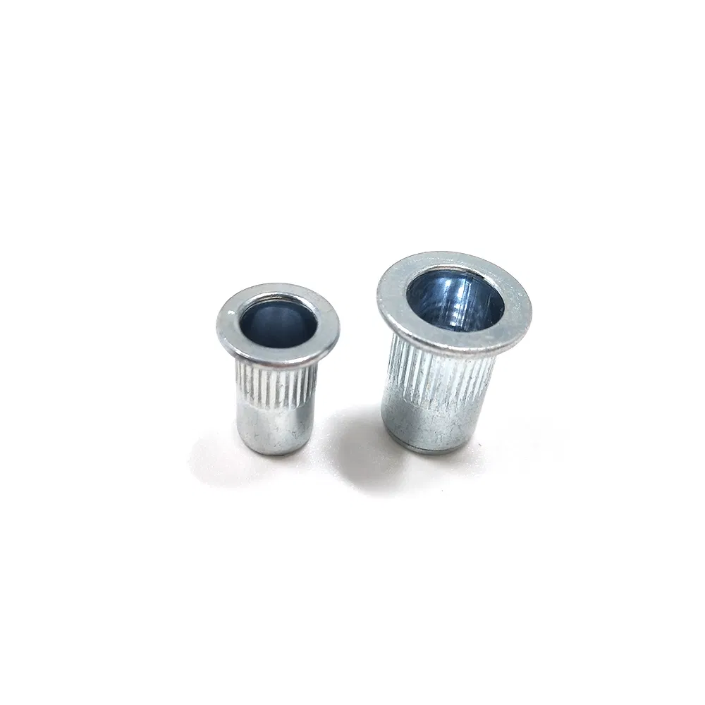 Melhores Vendas para Indústria Porcas Rivet Tipo Knurling Cabeça Plana de Macadâmia