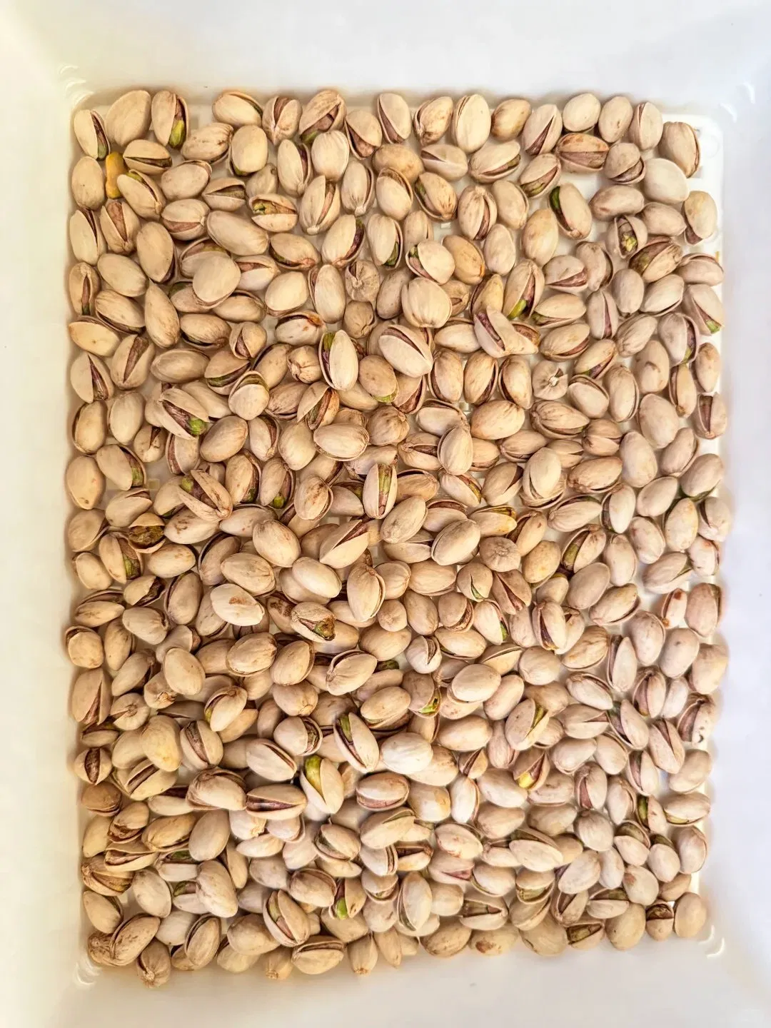 Roasted Pistachios in Shell with Delicious Taste