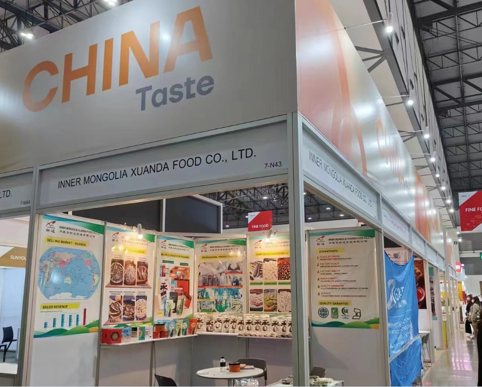 Venda Direta de Fábrica Sementes de Abóbora em Alta Qualidade Granel Snacks
