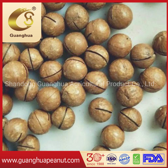 Vendas Quentes de Nozes de Macadâmia Torradas com Sabor