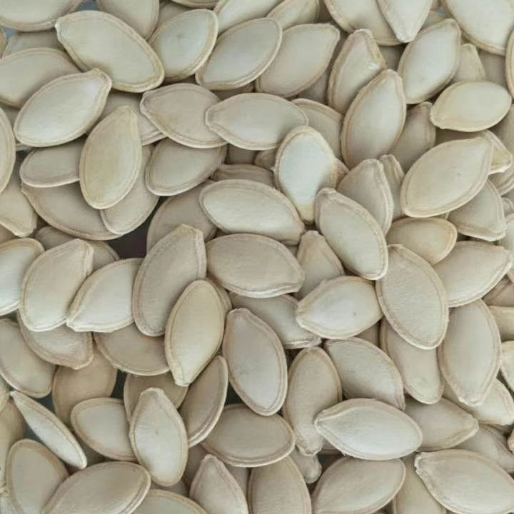 Novas Sementes de Abóbora Snack Chinês