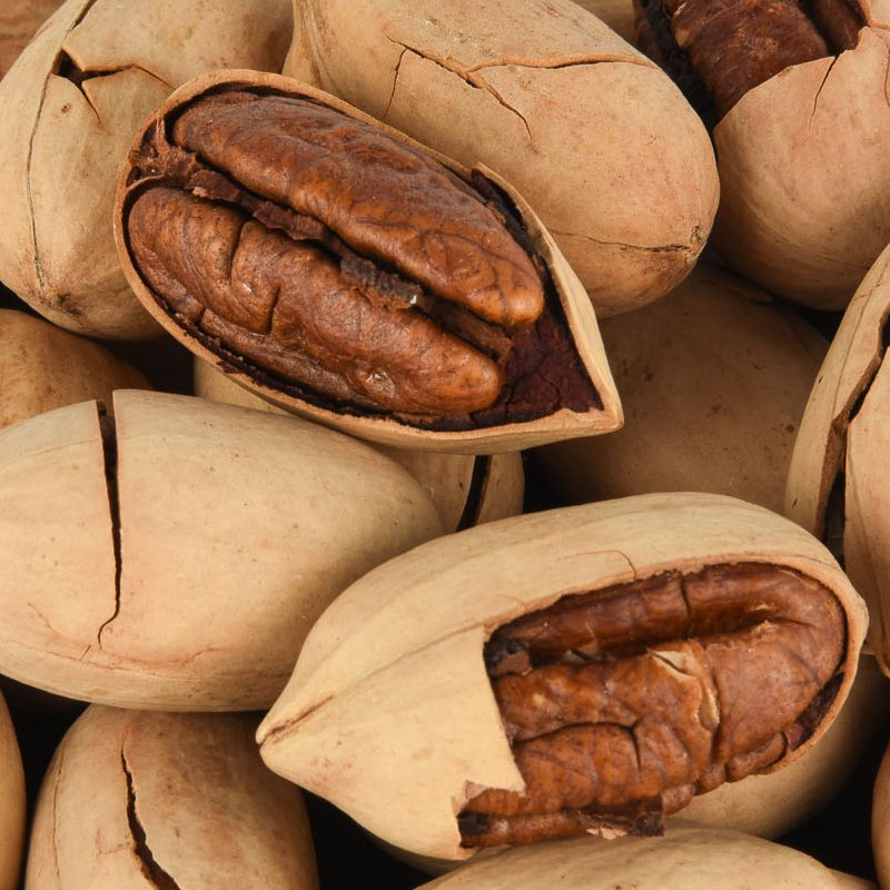 Aplicativos de Lanches Saudáveis por Atacado Crocantes de Nozes Pecã