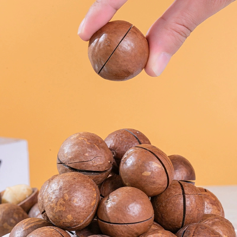 Nozes de macadâmia secas com sabor de baunilha cremosa de alta qualidade, fruta seca doce