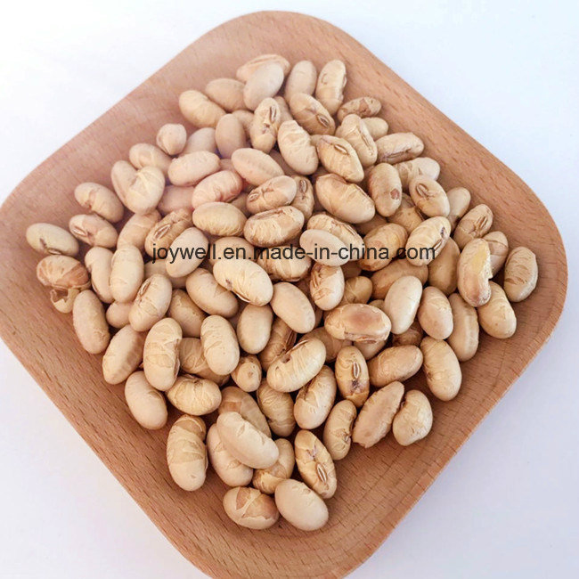 Snacks de Feijão Amarelo Crocante e Salgado Preço Barato à Venda