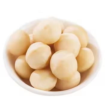 Melhores Nozes de Macadâmia Torradas Sabor Original Nozes de Macadâmia Baratas à Venda
