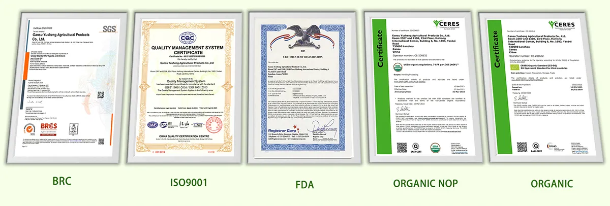 Certificação