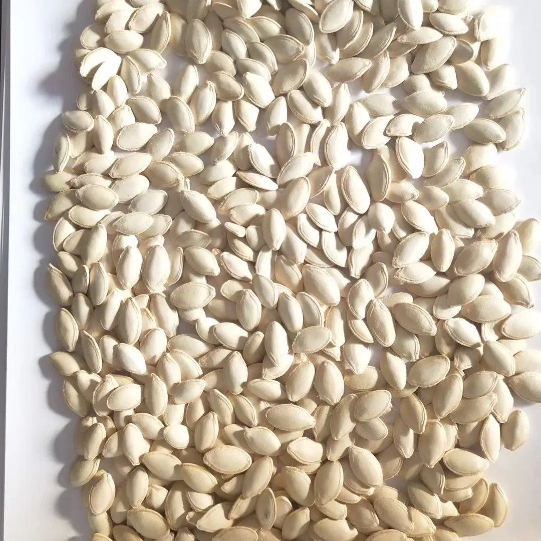 Novas sementes de abóbora para um bom sabor snacks