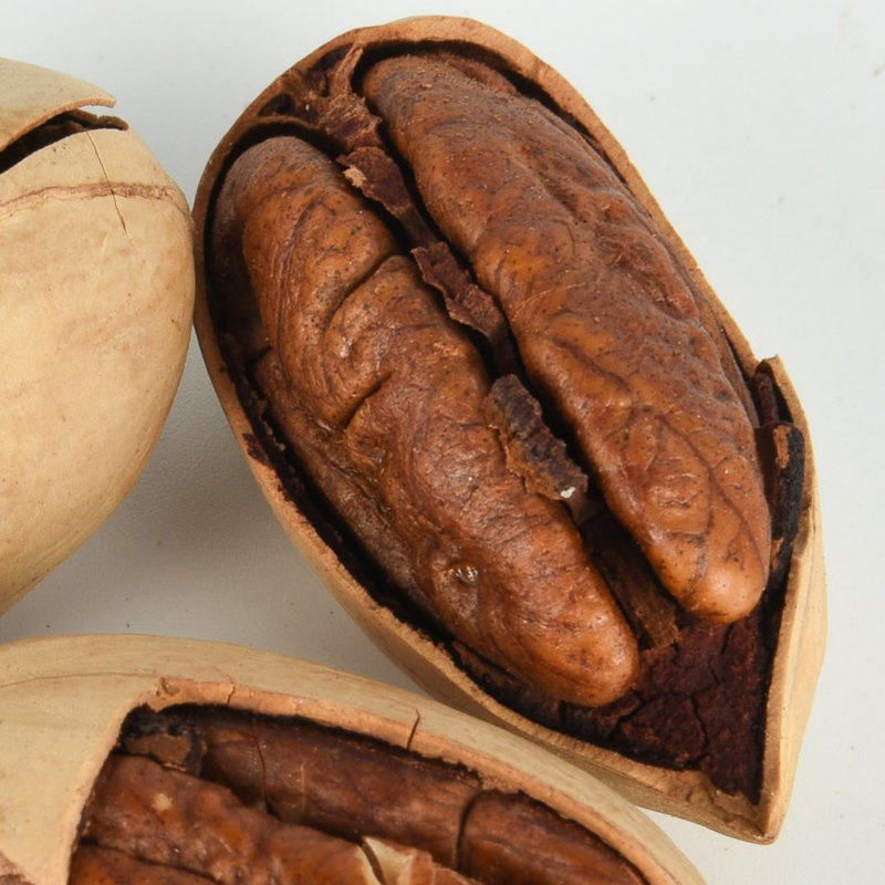 Aplicativos de Lanches Saudáveis por Atacado Crocantes de Nozes Pecã