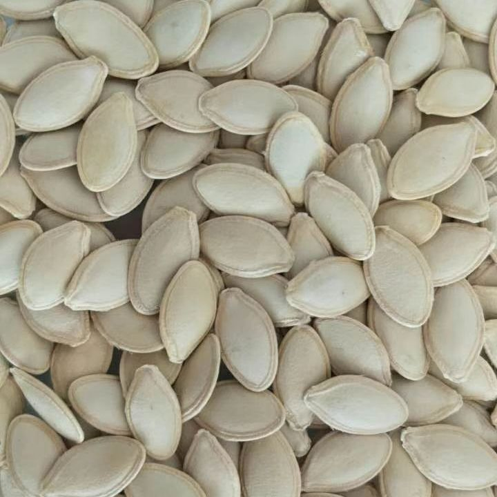 Novas sementes de abóbora para um bom sabor snacks