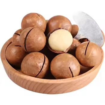 Melhores Nozes de Macadâmia Torradas Sabor Original Nozes de Macadâmia Baratas à Venda