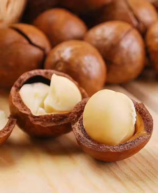 Melhor Preço em Nozes de Macadâmia com Casca Atacado Grau A