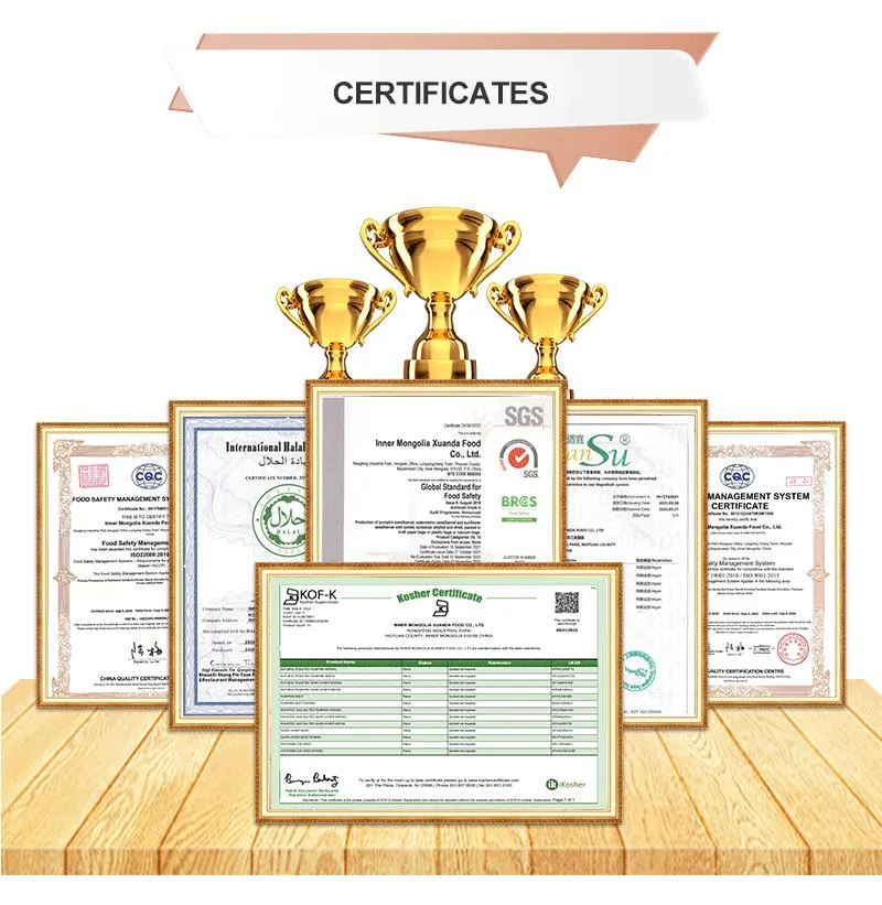Certificado 2