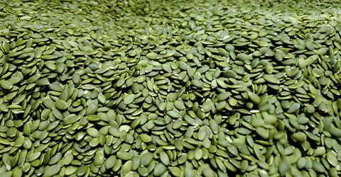 Novas Sementes de Abóbora Snack Chinês