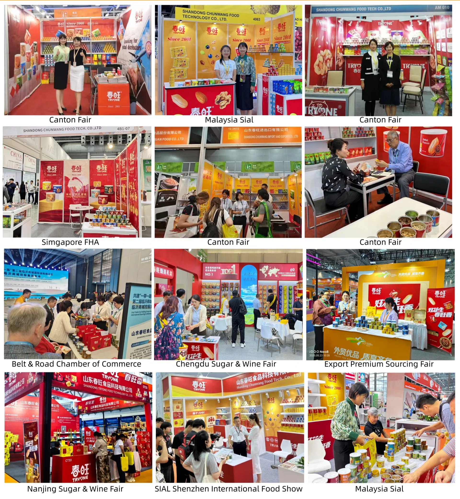 Exposições Globais