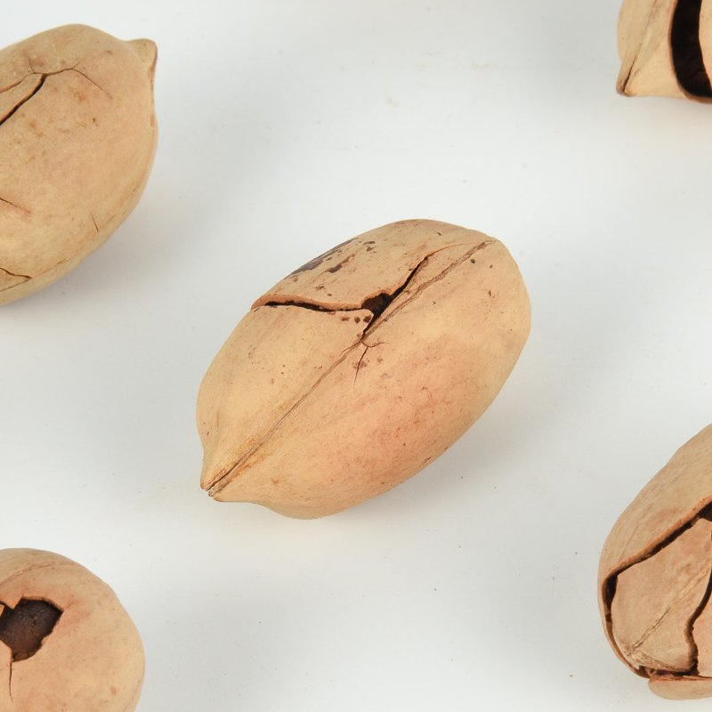 Aplicativos de Lanches Saudáveis por Atacado Crocantes de Nozes Pecã