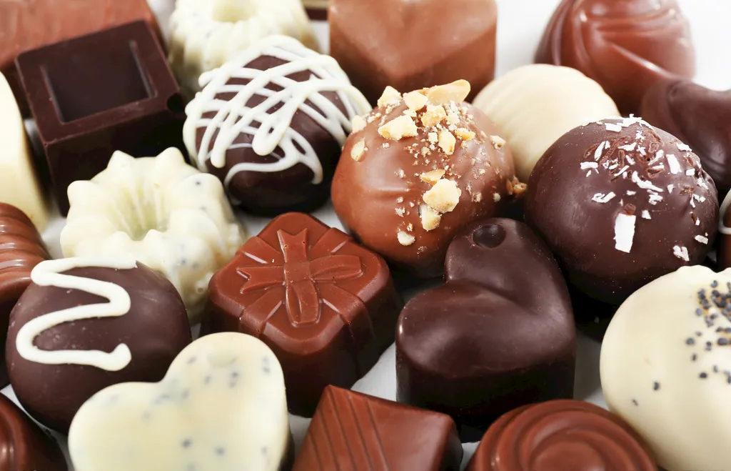 Produção de Chocolate