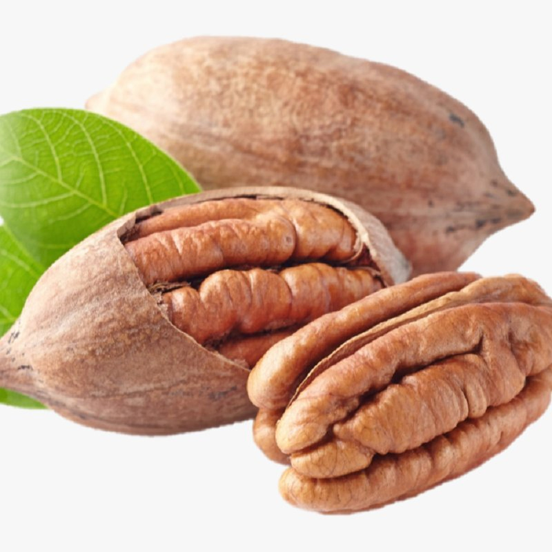 Lanches de Nozes Saudáveis Sabor de Leite Orgânico Pecan Torrado Pecan Descolorido com Preço de Fábrica